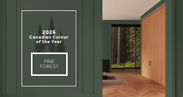2022 Dulux Paint Colour of The Year: Olive Sprig